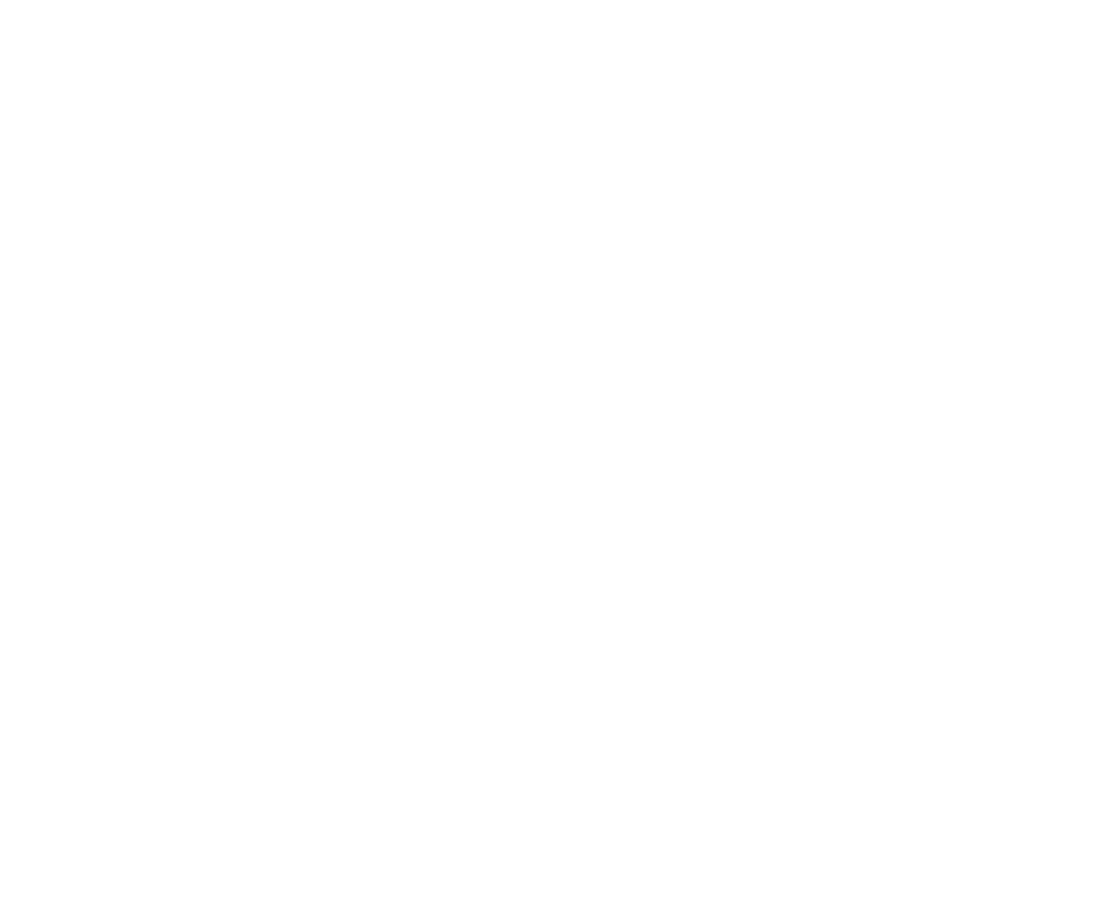 wohlkompass logo weiss